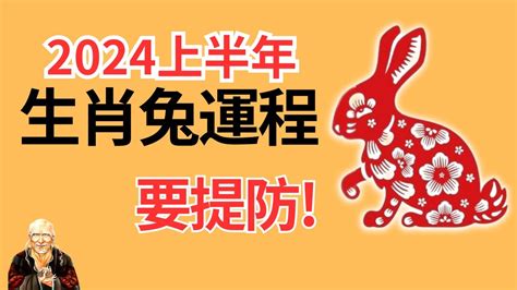 兔年 2024|生肖兔2024年运程 生肖兔2024年每月运势大全